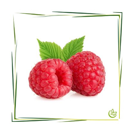 Natürliches Parfümöl Raspberry
