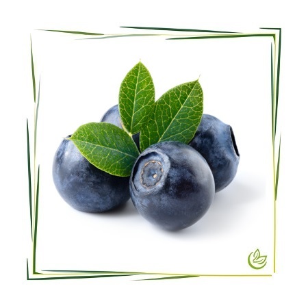 Parfümöl Blueberry