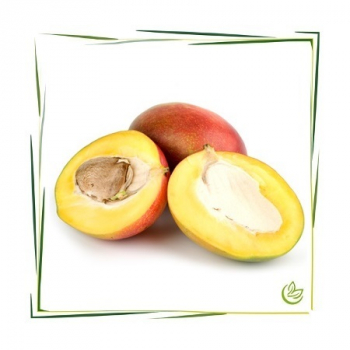 Mangobutter raffiniert 100 g
