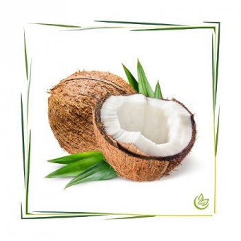 Natürliches Parfümöl Coconut 500 ml