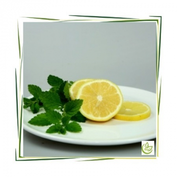Parfümöl Lemon Verbena 1 l