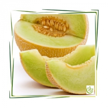 Parfümöl Melone 5 l