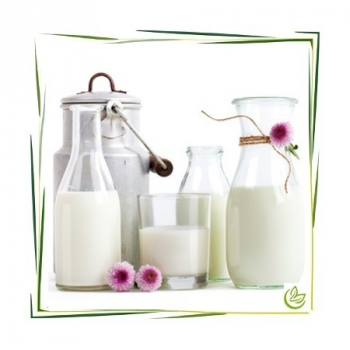 Parfümöl Milk 5 l