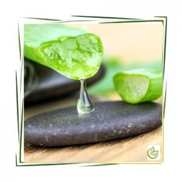 Aloe Vera Gel Puder 200:1 BIO 500 g