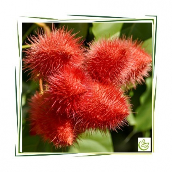 Annatto gemahlen 100 g