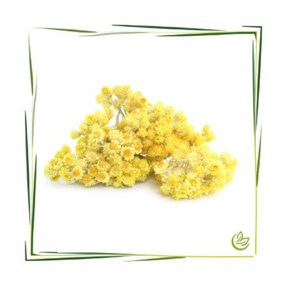 Hydrolat Immortelle BIO 10 l