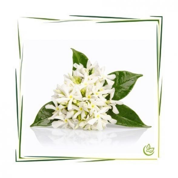 Hydrolat Neroli BIO 5 l