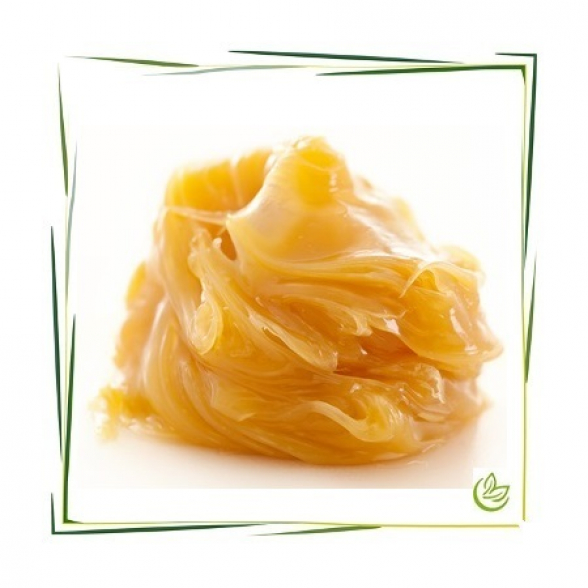 Lanolin (wasserfrei) 2,5 kg