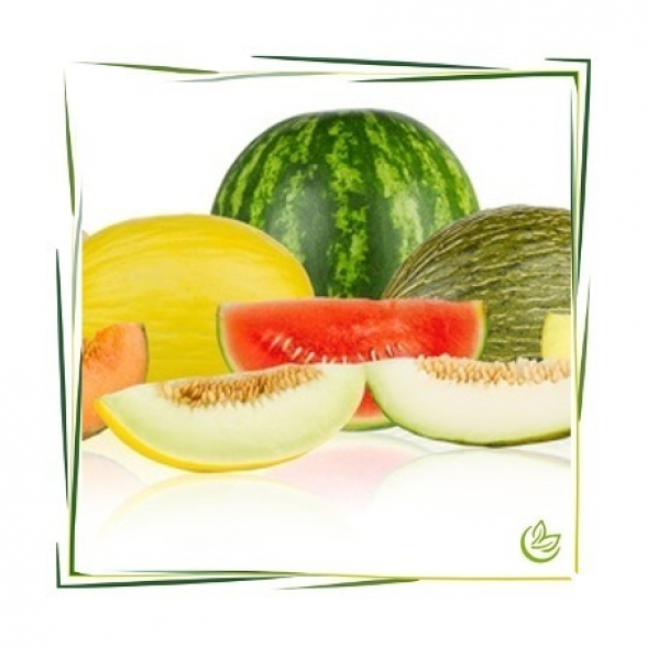 Natürliches Parfümöl Melon Medley 100 ml