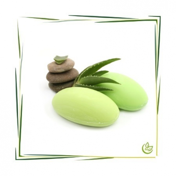 Parfümöl Aloe Vera 20 ml