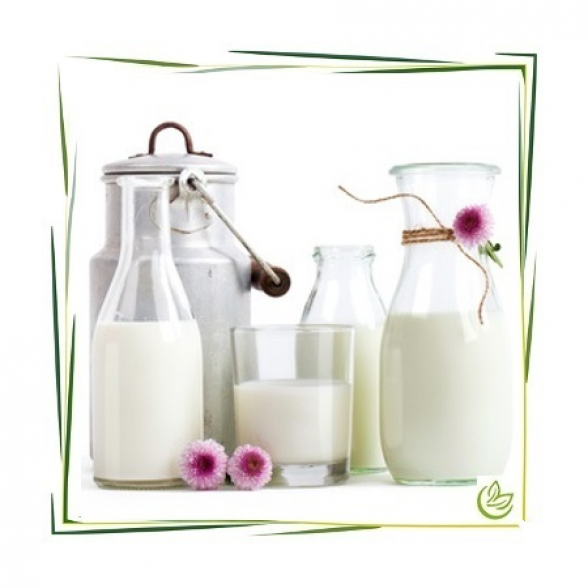 Parfümöl Milk 100 ml